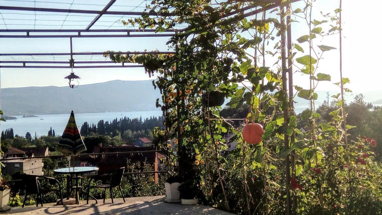 Apartmani Bosco Тиват Екстер'єр фото