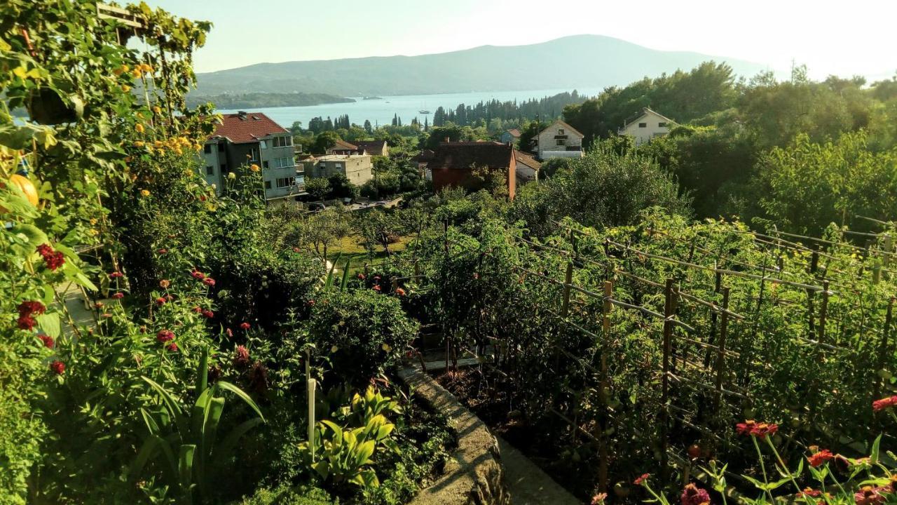 Apartmani Bosco Тиват Екстер'єр фото