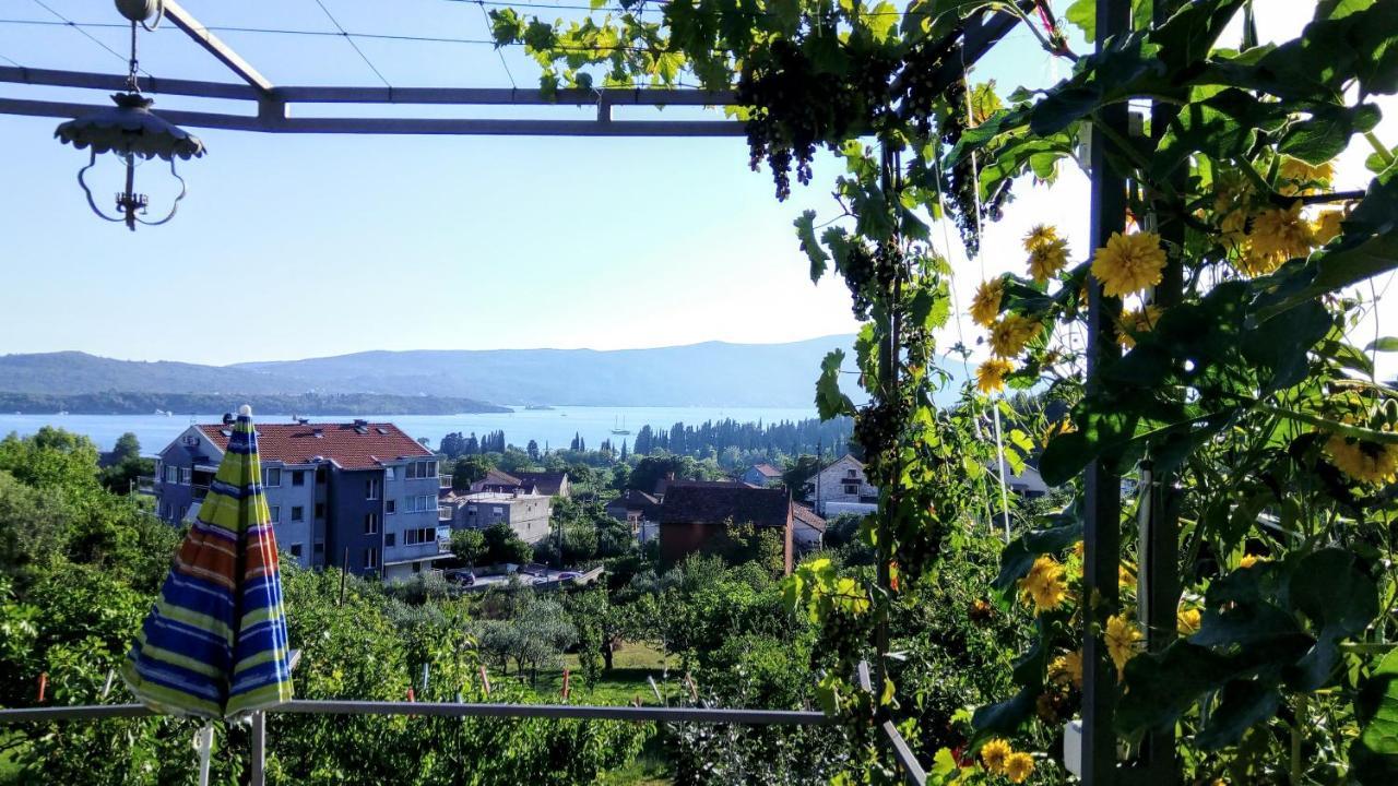 Apartmani Bosco Тиват Екстер'єр фото