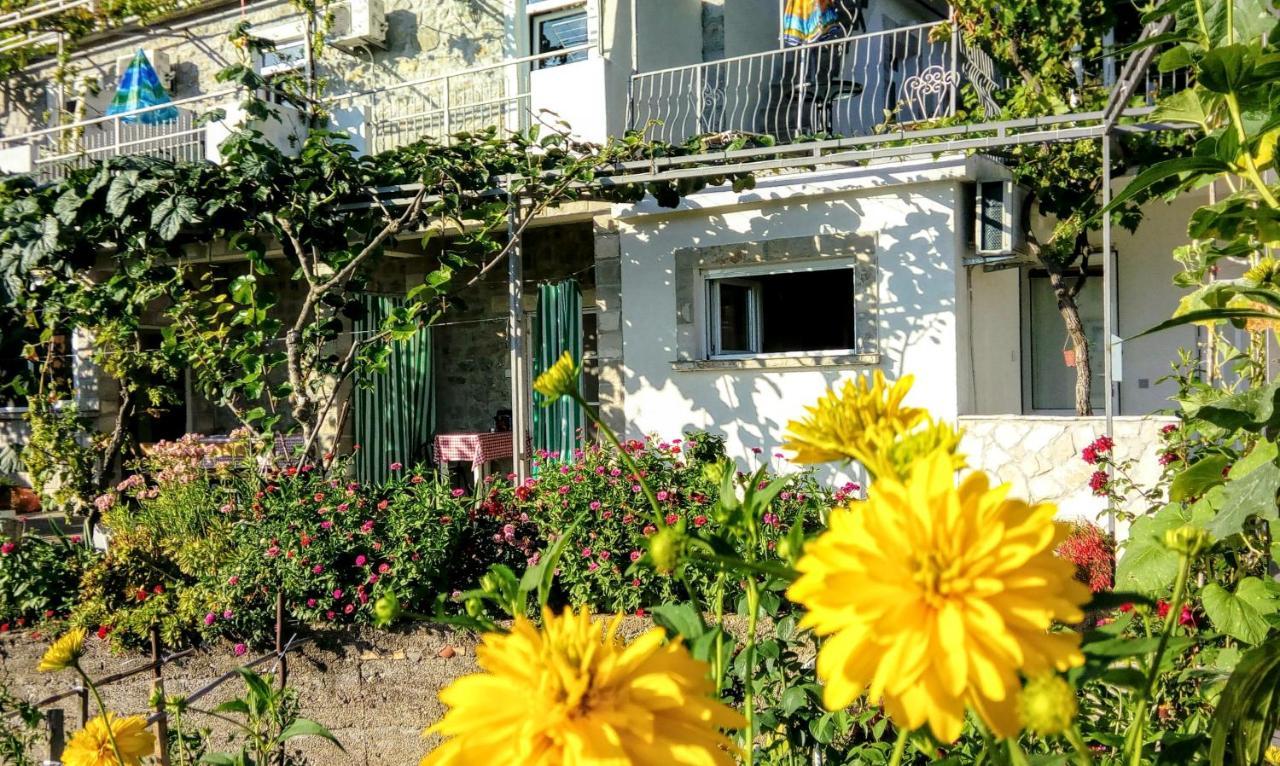 Apartmani Bosco Тиват Екстер'єр фото