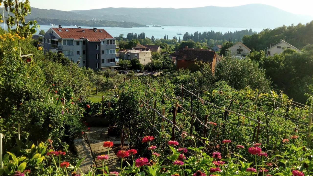 Apartmani Bosco Тиват Екстер'єр фото
